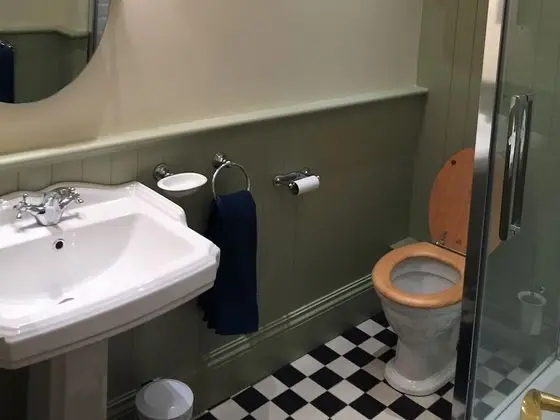 Superior Tek Büyük Yataklı Oda, Banyolu/Duşlu (Room 2)