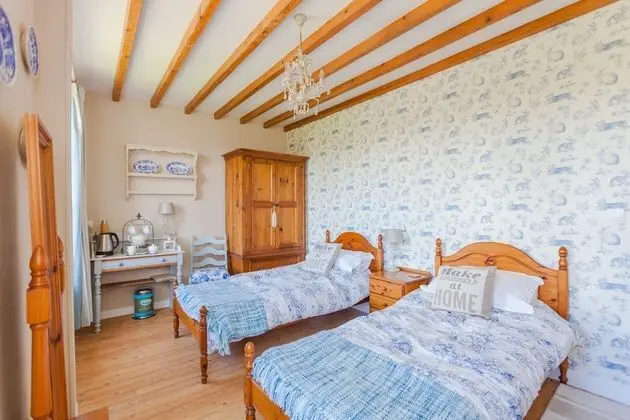 Deluxe İki Ayrı Yataklı Oda (Blue Toile)