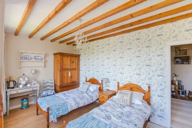 Deluxe İki Ayrı Yataklı Oda (Blue Toile)