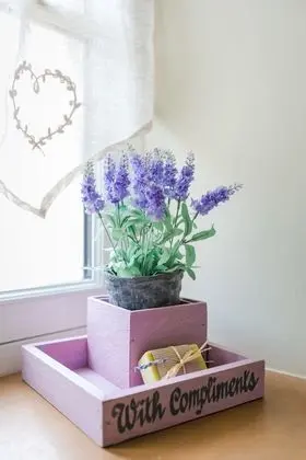 Deluxe Tek Büyük Yataklı Oda (Garden Room)