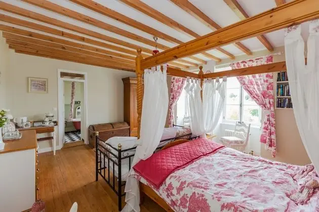 Deluxe Tek Büyük Yataklı Oda (Red Toile)