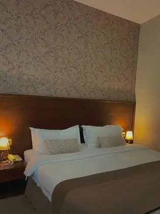 Standard Tek Büyük veya İki Ayrı Yataklı Oda, Şehir Manzaralı