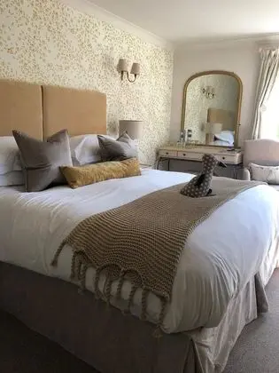 Superior Tek Büyük veya İki Ayrı Yataklı Oda