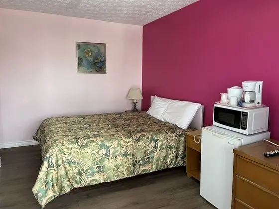 Standard Tek Kişilik Oda, 1 Büyük (Queen) Boy Yatak, Sigara İçilmez, Göl Manzaralı