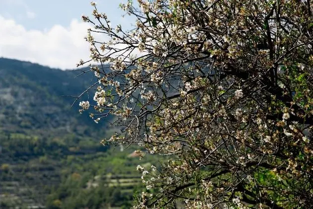 Traditional Ev, 2 Yatak Odası