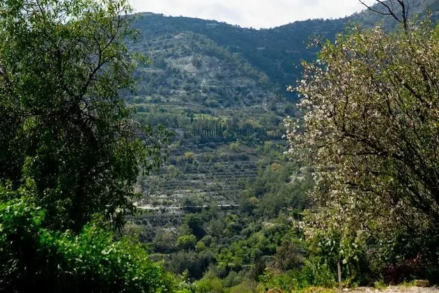 Traditional Ev, 2 Yatak Odası