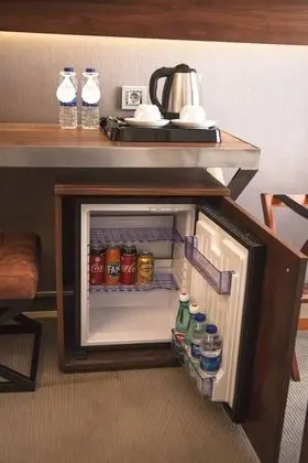 Mini-refrigerator