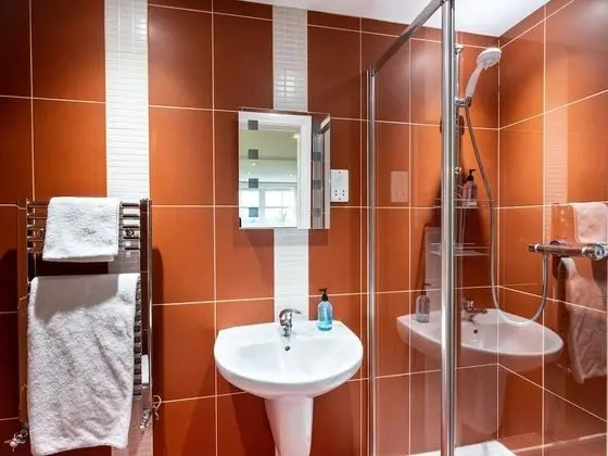 Tek Büyük Yataklı Oda, Banyolu/Duşlu