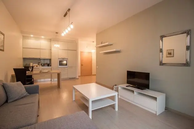 Riga Riverside Apartment (str.Republikas laukums 3)