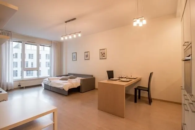 Riga Riverside Apartment (str.Republikas laukums 3)