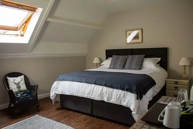 Deluxe Tek Büyük veya İki Ayrı Yataklı Oda