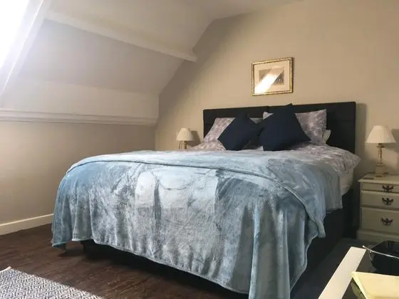 Deluxe Tek Büyük veya İki Ayrı Yataklı Oda