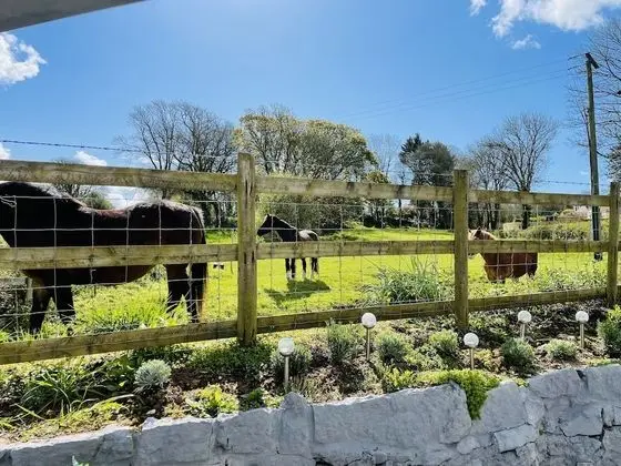 Luxury Kır Evi, Engellilere Uygun, Banyolu/Duşlu (Luxury Cottage Sleeps 8 )