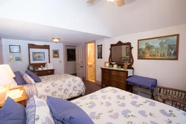 Deluxe Tek Büyük Yataklı Oda (Room #4)