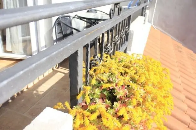 Stüdyo (Old Stone - SA1(2))