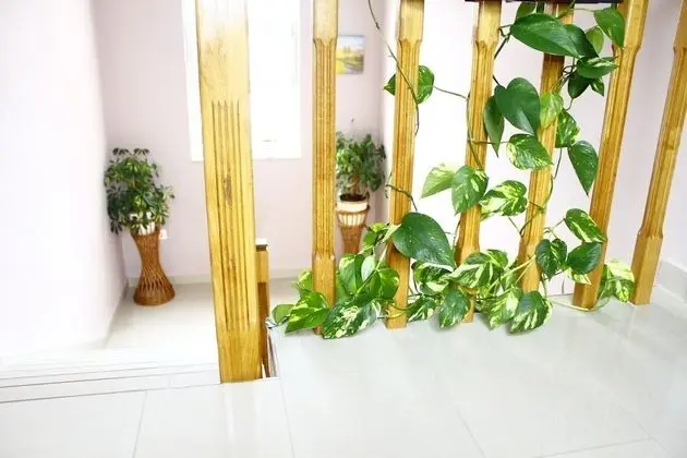 Stüdyo (Old Stone - SA4(2))