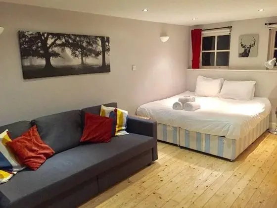 Apart Daire, 1 Çift Kişilik Yatak ve Çekyat (1 Bedroom)