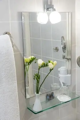 Superior Tek Büyük Yataklı Oda