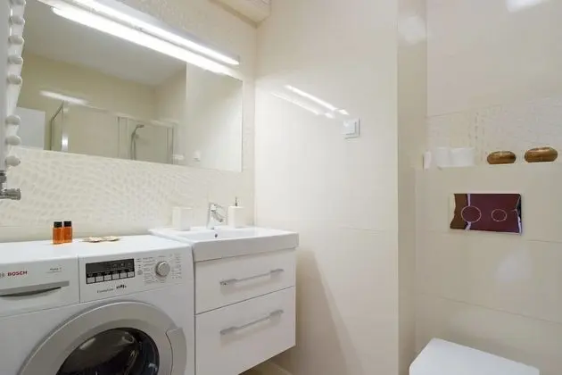Çatı Katı Süiti (Penthouse), 1 Yatak Odası