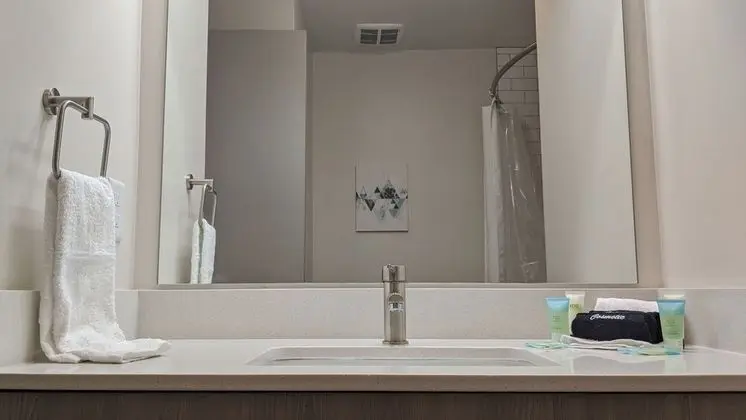 Luxury Çatı Katı (Loft), 1 Yatak Odası, Mutfak