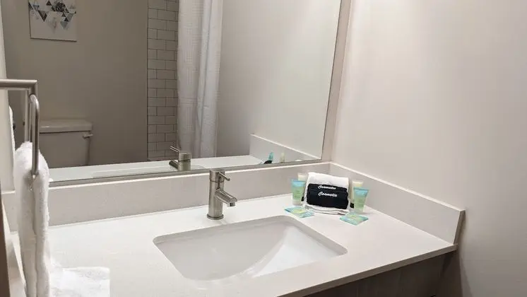 Luxury Çatı Katı (Loft), 1 Yatak Odası, Mutfak