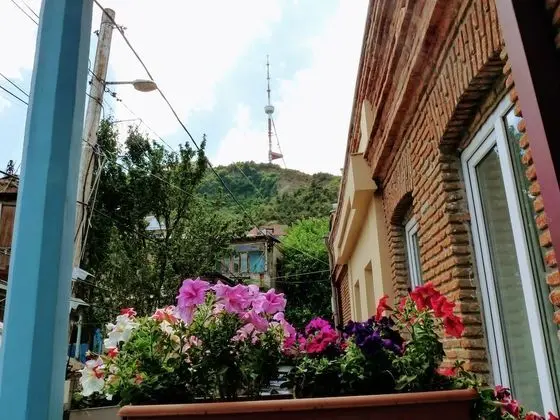 Standard Tek Büyük Yataklı Oda, Balkon, Dağ Manzaralı
