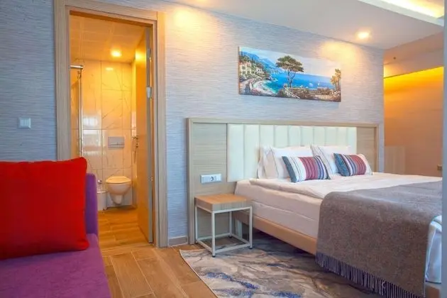 Luxury Tek Büyük Yataklı Oda, 1 Büyük (Queen) Boy Yatak, Sigara İçilmez, Şehir Manzaralı