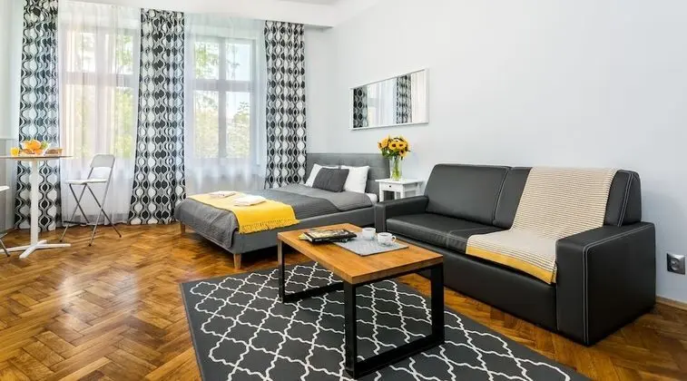 Deluxe Stüdyo Süit, 1 Yatak Odası, Şehir Manzaralı (number 1)