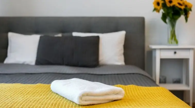 Deluxe Stüdyo Süit, 1 Yatak Odası, Şehir Manzaralı (number 1)