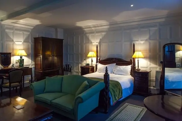 Deluxe Tek Büyük Yataklı Oda, 1 Çift Kişilik Yatak, Banyolu/Duşlu, Şehir Manzaralı