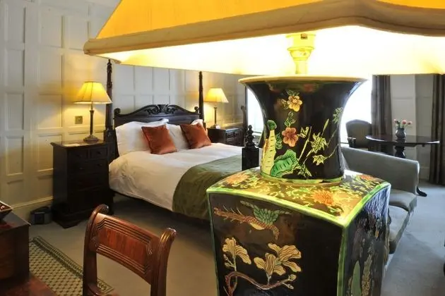 Deluxe Tek Büyük Yataklı Oda, 1 Çift Kişilik Yatak, Banyolu/Duşlu, Şehir Manzaralı