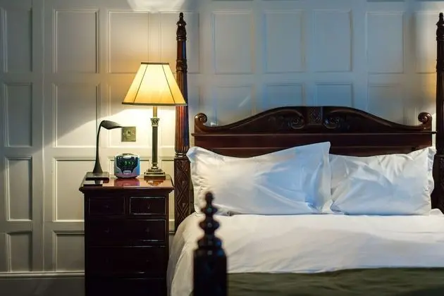 Deluxe Tek Büyük Yataklı Oda, 1 Çift Kişilik Yatak, Banyolu/Duşlu, Şehir Manzaralı