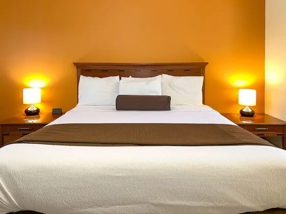 Standard Oda, 1 Büyük (Queen) Boy Yatak, Sigara İçilmez