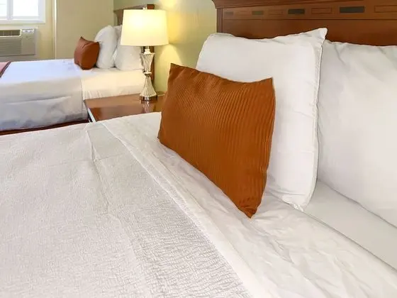 Standard Oda, 2 Büyük (Queen) Boy Yatak, Sigara İçilmez