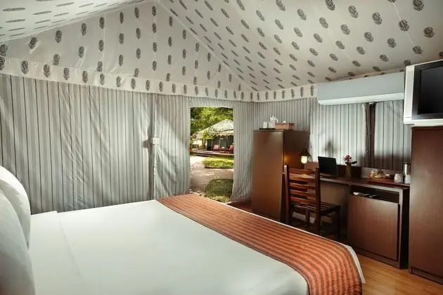 Luxury Çadır
