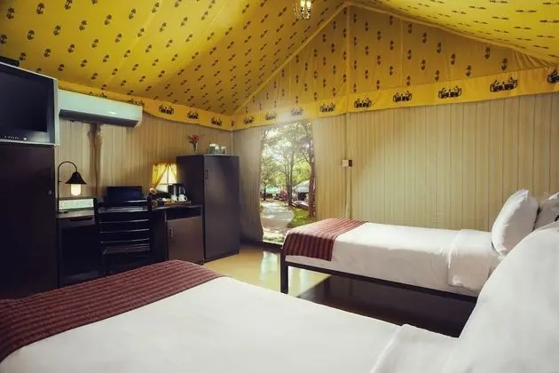 Luxury Çadır