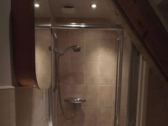 Tek Büyük Yataklı Oda, Ortak Banyo ( Shower Only (Holt))