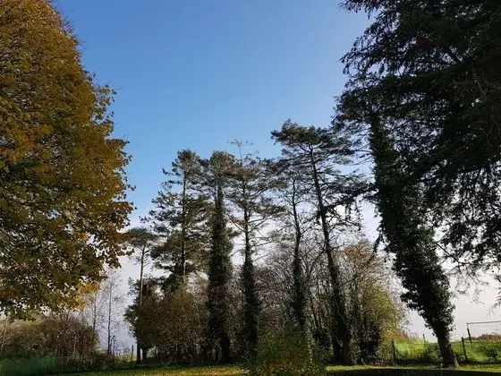 Standard İki Ayrı Yataklı Oda, Bahçe Manzaralı