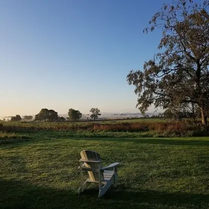 Standard İki Ayrı Yataklı Oda (Library Room)