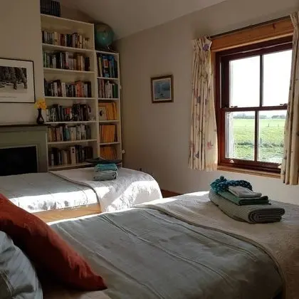 Standard İki Ayrı Yataklı Oda (Library Room)