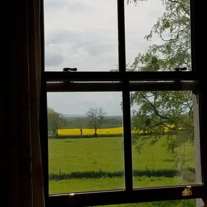 Standard İki Ayrı Yataklı Oda (Library Room)