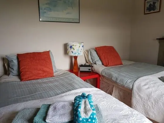 Standard İki Ayrı Yataklı Oda (Library Room)