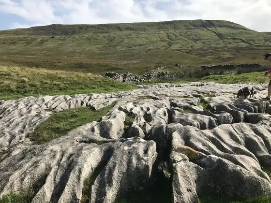 Ev, Birden Çok Yatak