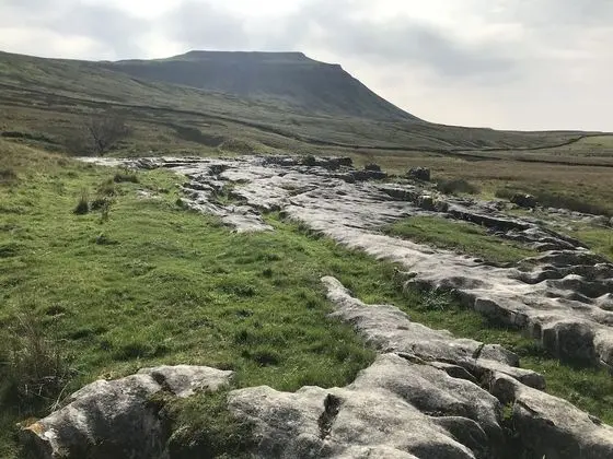 Ev, Birden Çok Yatak