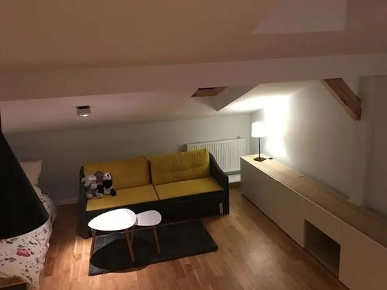 Apart Daire, 1 Çift Kişilik Yatak ve Çekyat (17)