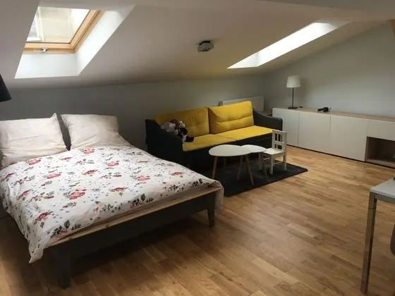 Apart Daire, 1 Çift Kişilik Yatak ve Çekyat (17)