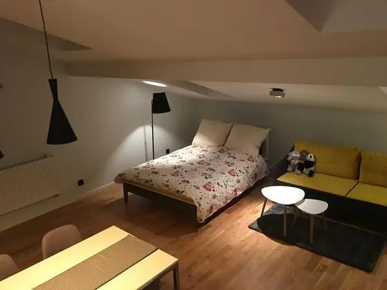 Apart Daire, 1 Çift Kişilik Yatak ve Çekyat (17)