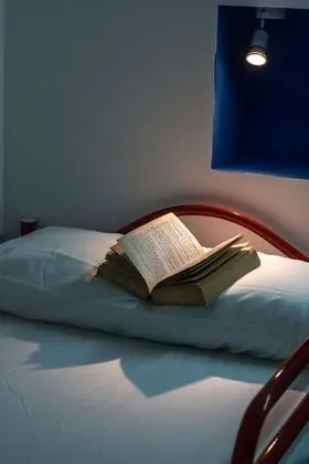 Ortak Ranzalı Oda, Karma Ranzalı Oda (1 Bed in 12 beds Dormitory)