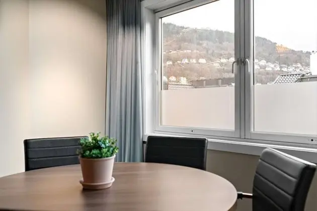 Standard Apart Daire, Birden Çok Yatak, Sigara İçilmez, Mutfak (with Sofabed)