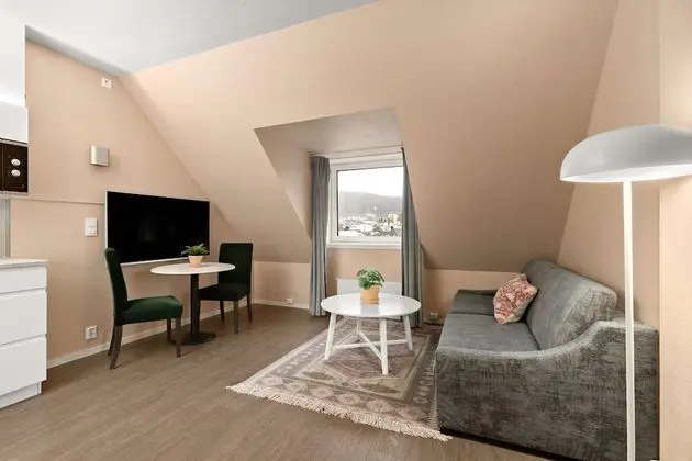 Standard Apartment, Multiple Beds, Non Smoking, Kitchen (with Sofabed)